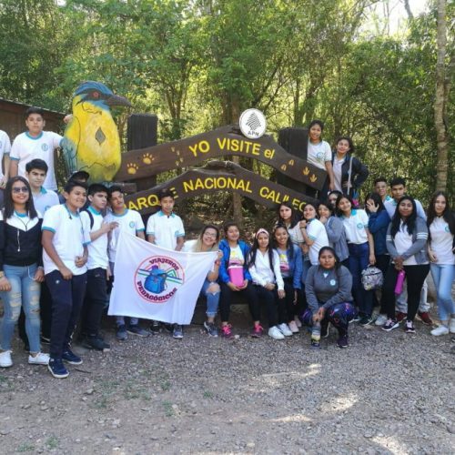 Imagen 2 - Colegio Los Olivos