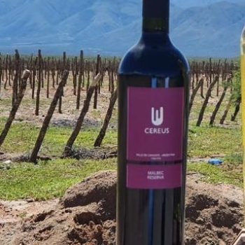 cereus reserva malbec - CEPA Vinos de Altura