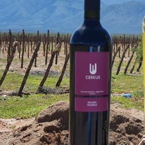 cereus reserva malbec - CEPA Vinos de Altura